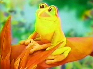 Miltontoad