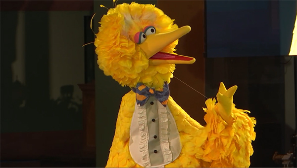 Ranking 2021’s Muppet Scandals