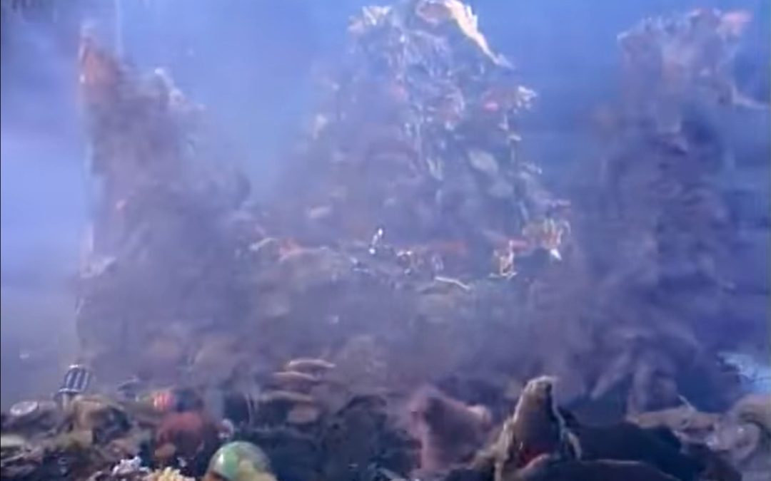 Fraggle Rock: 40 Years Later – “The Great Radish Famine”