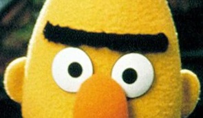 close up of Bert's face with eyebrow eyes and top of nose visible