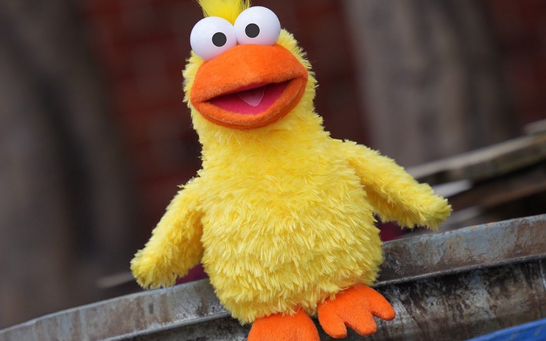 Little Bird Plush Arrives at Sesame Place