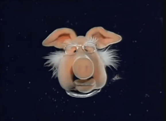 70 Years, 70 Muppets – Ep 37. Dr. Julius Strangepork