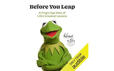 Before You Leap Audiobook Out Now