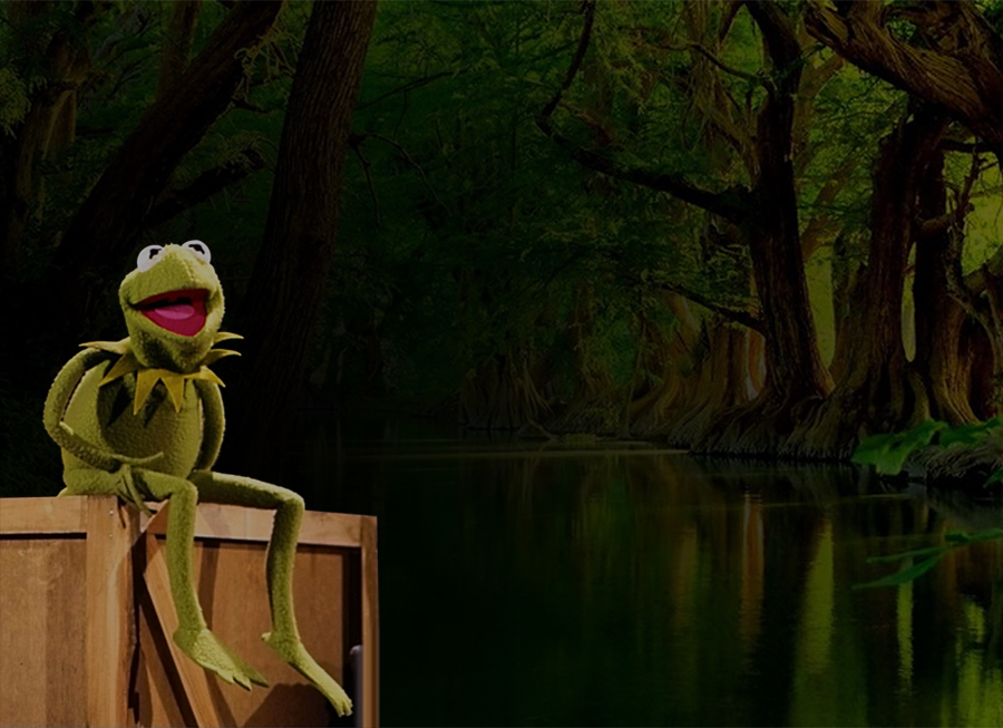 Reflections on Frogs, Blogs, and Overcoming Trauma