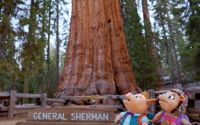 Review: The Jim Henson Company’s “Wowsabout!”