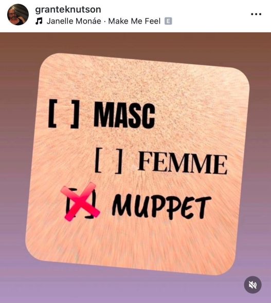 Instagram user granteknutson: List with three options, third box selected: “Masc,” “Femme,” and “Muppet”